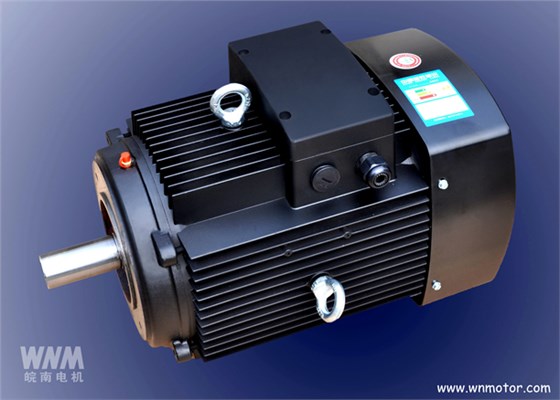 皖南电机成功研发立式多级泵专用电机 皖南电机成功研发立式多级泵专用电机