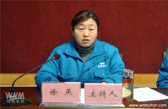 皖南电机徐燕主持会议 皖南电机徐燕主持会议