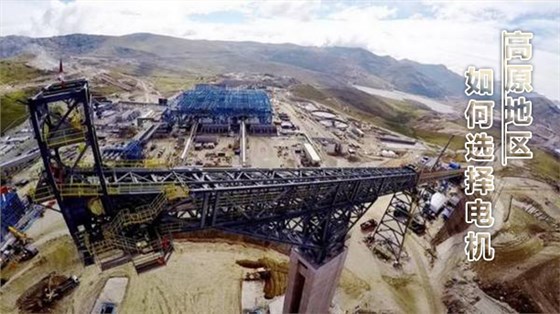 高原电机 高原电机